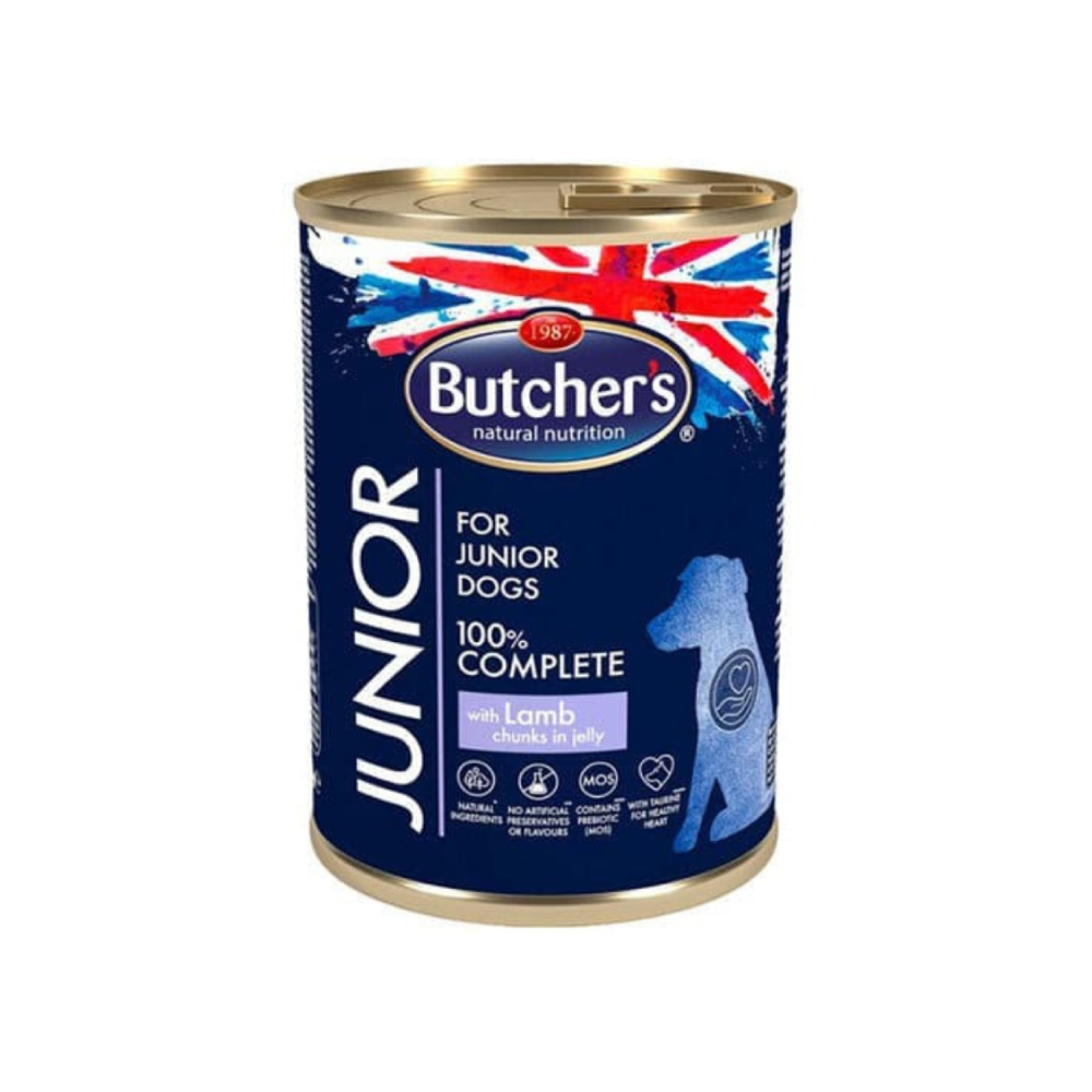 P10900004.png