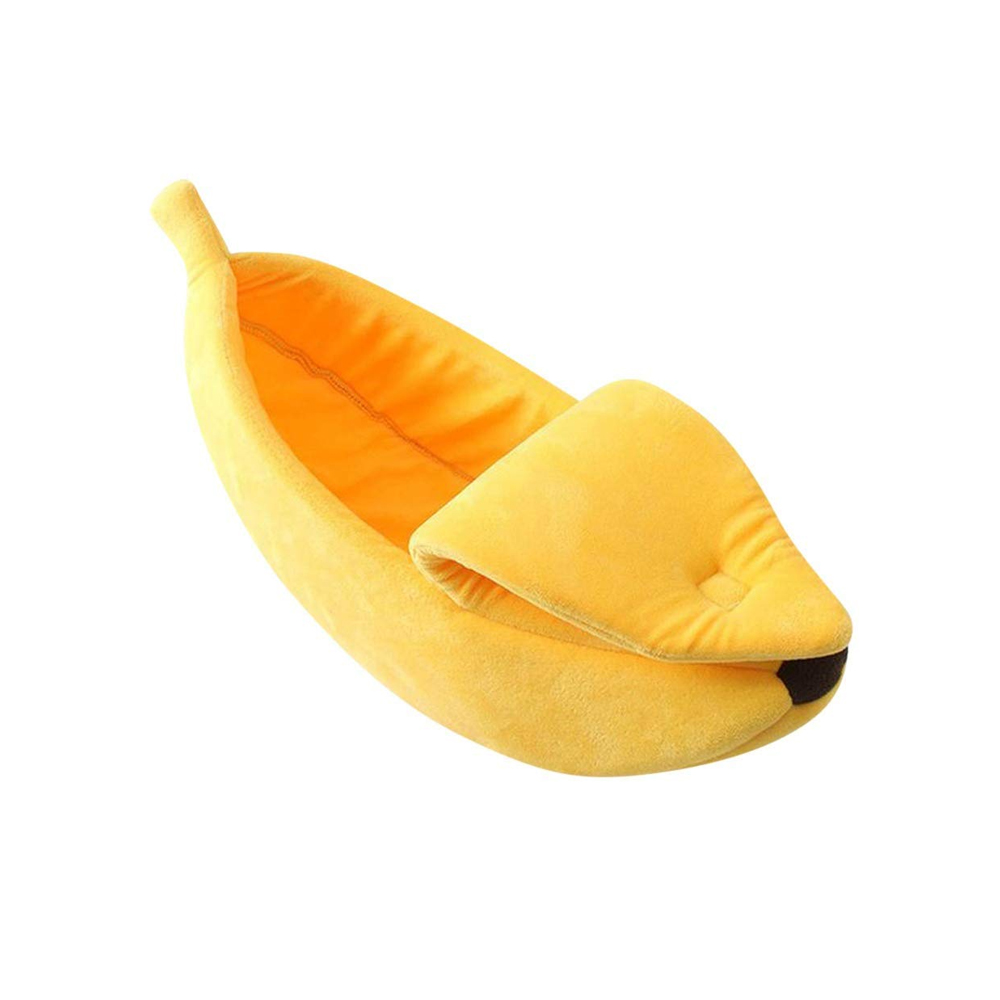 P11100041.png