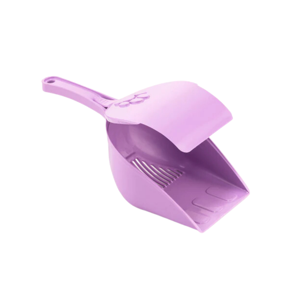 P11600131.png