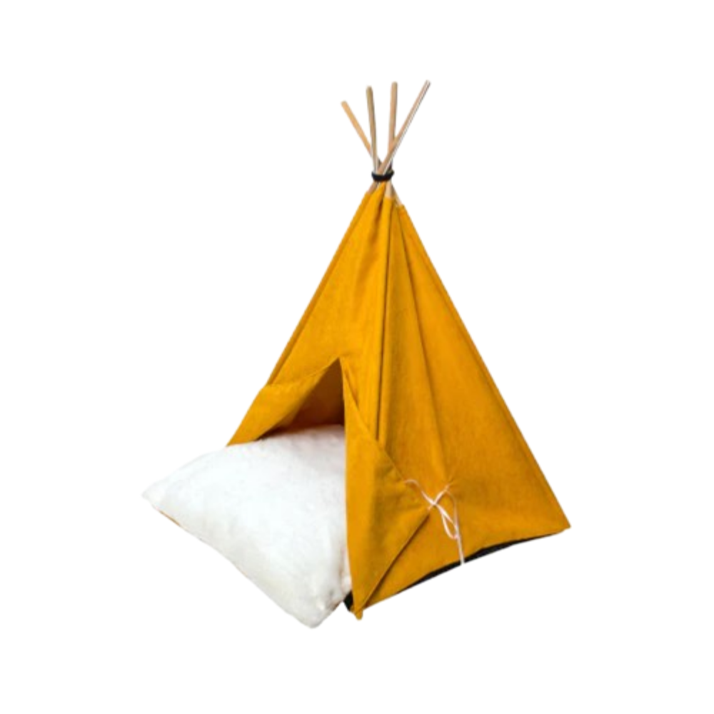 P11600393.png