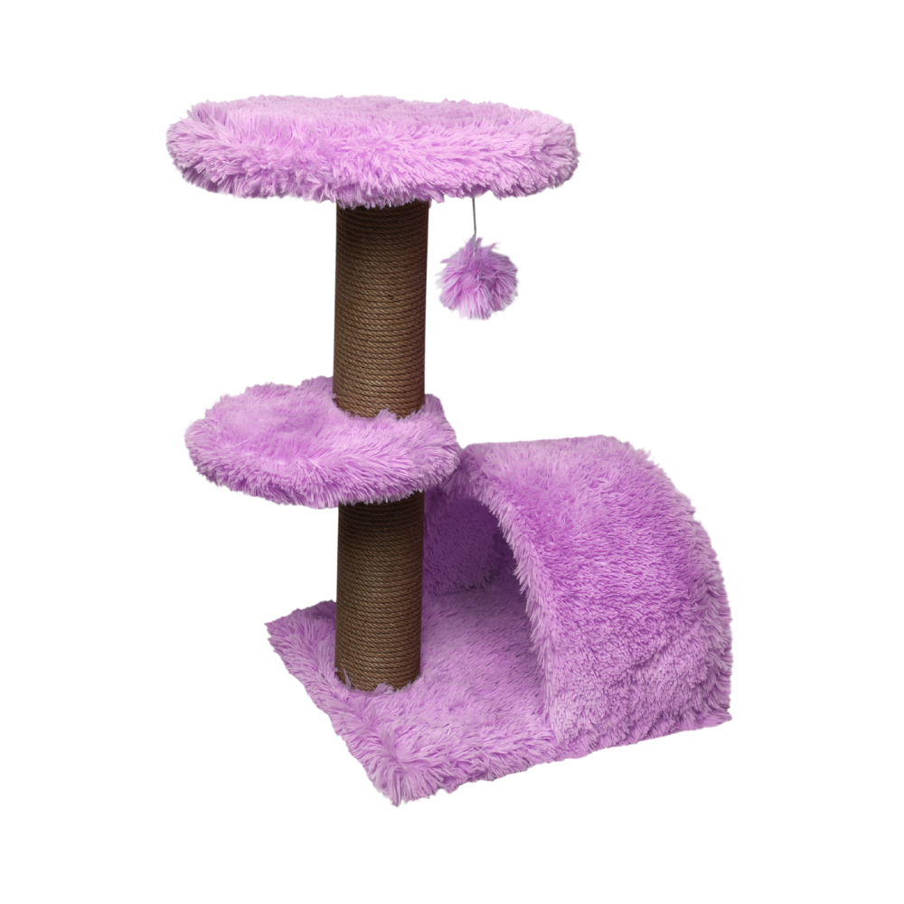 P11600436.png
