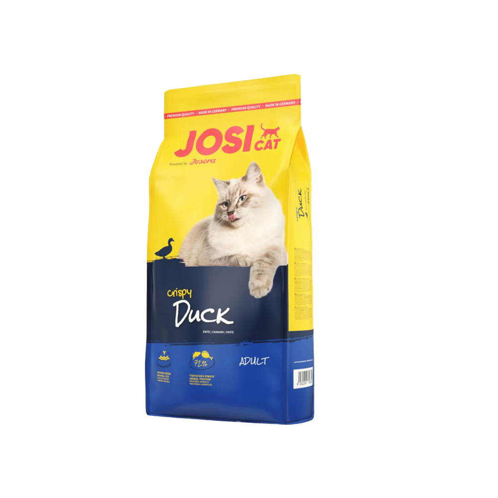 P12500106.png