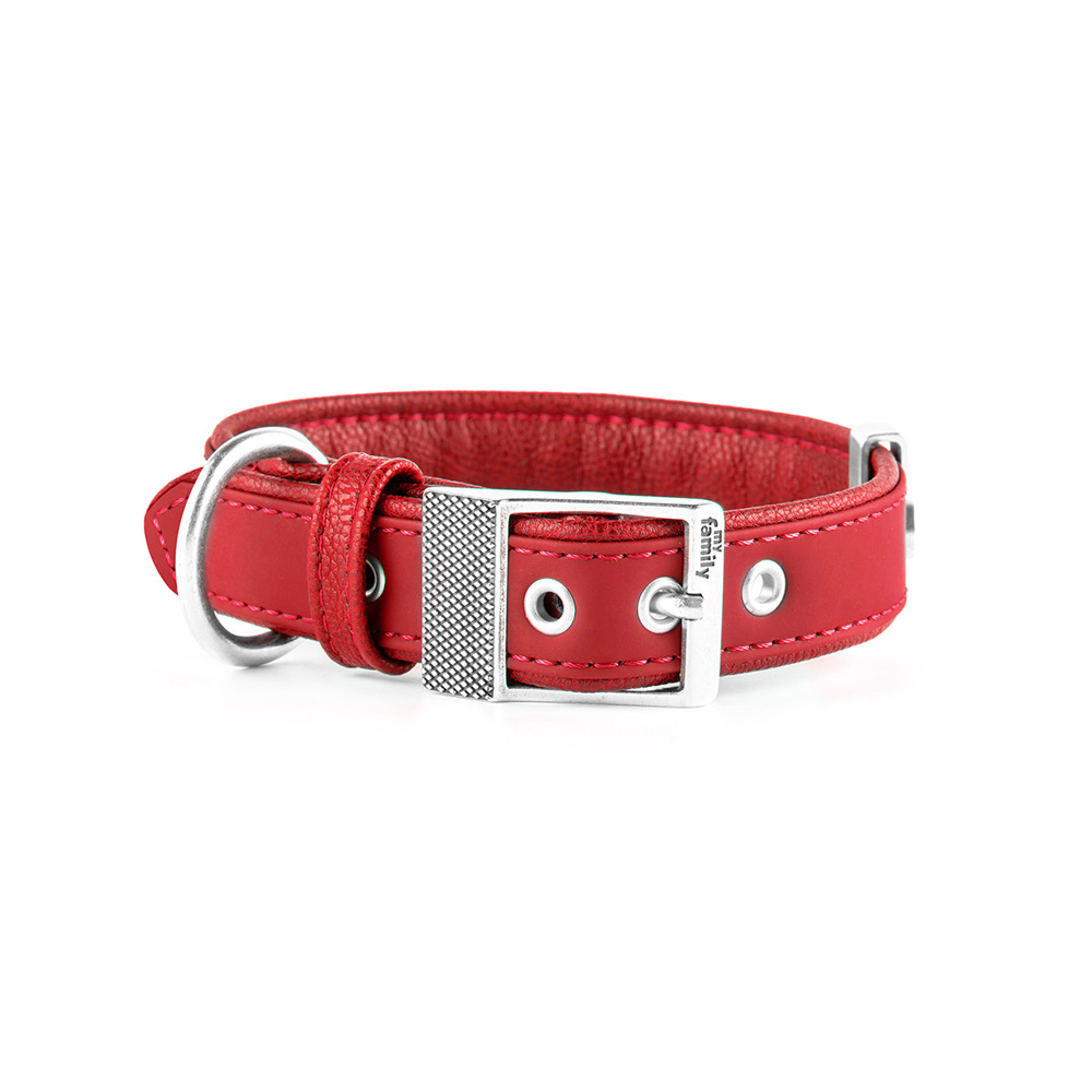 P13200055.png