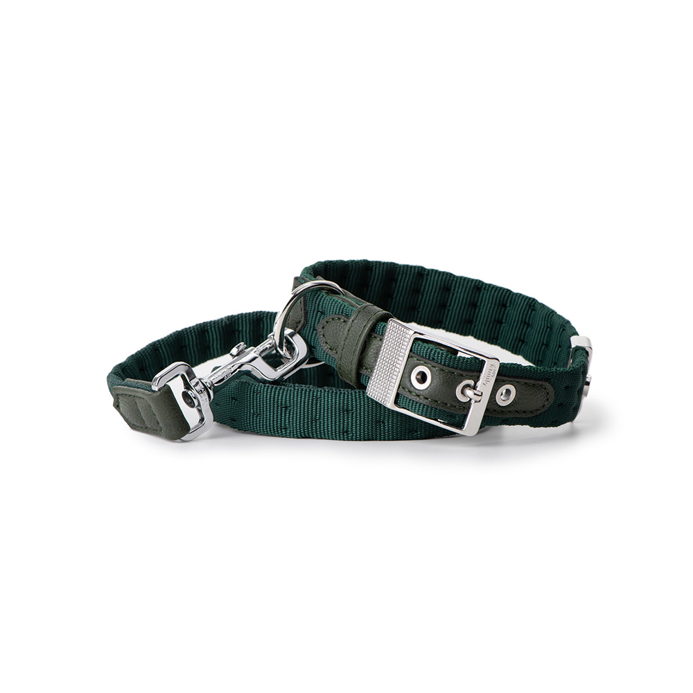 P13200232.png