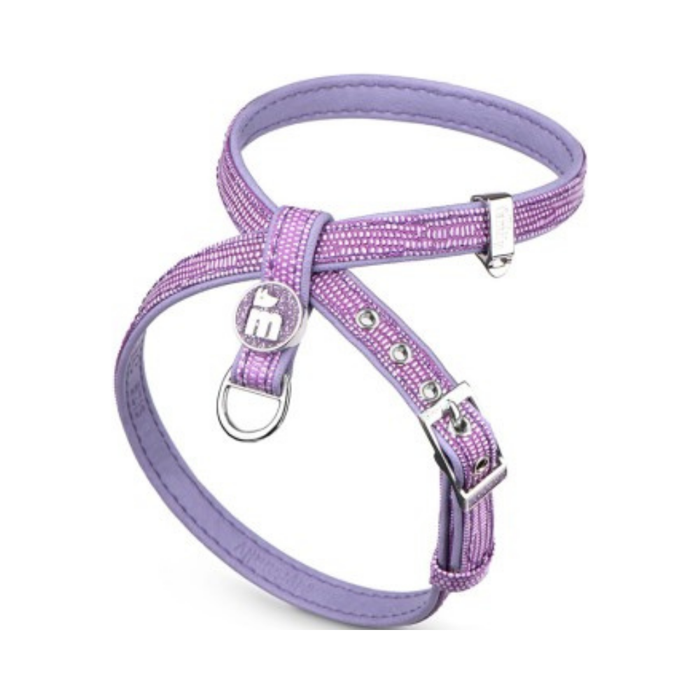 P13200291.png