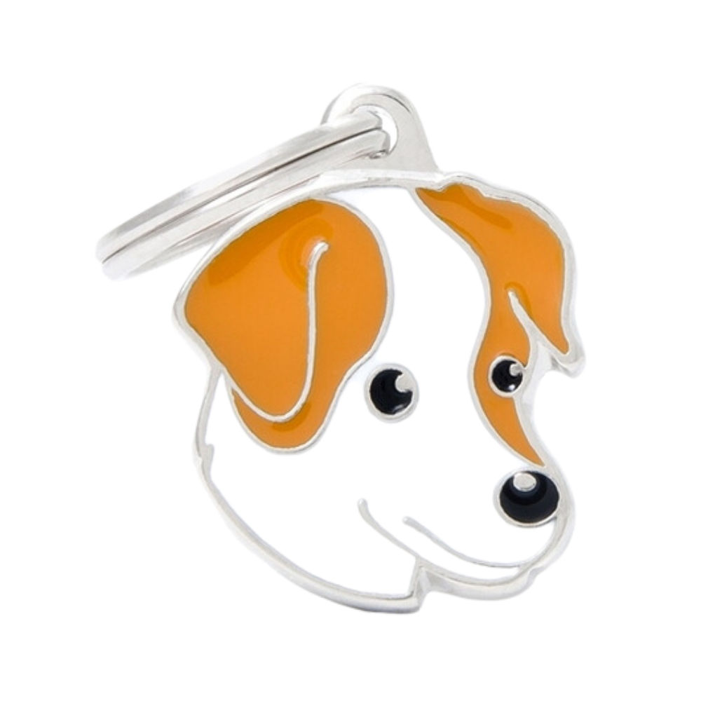 P13200431.png