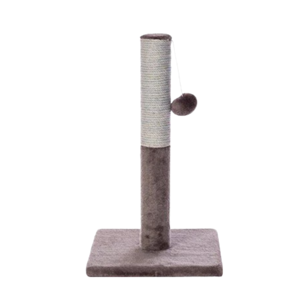 P13900039.png