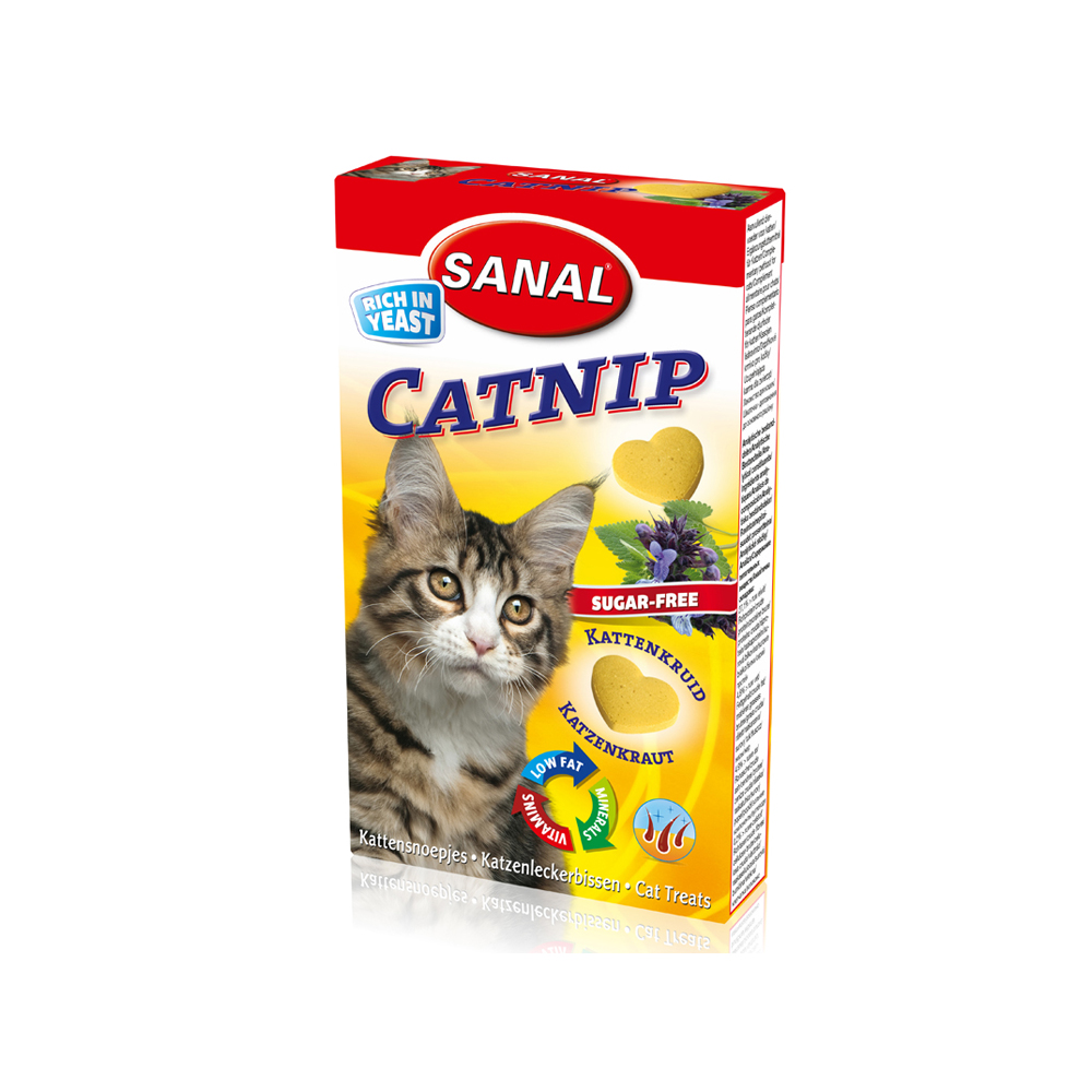 P14300007.png
