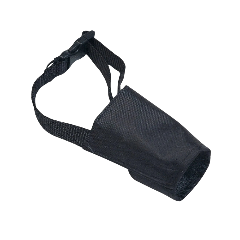 P15900065.png