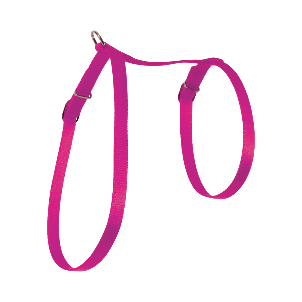 P15901130.png