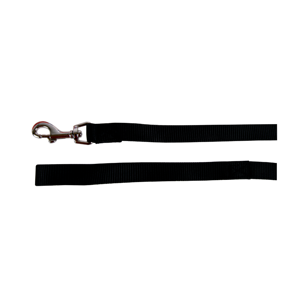 P15901155.png