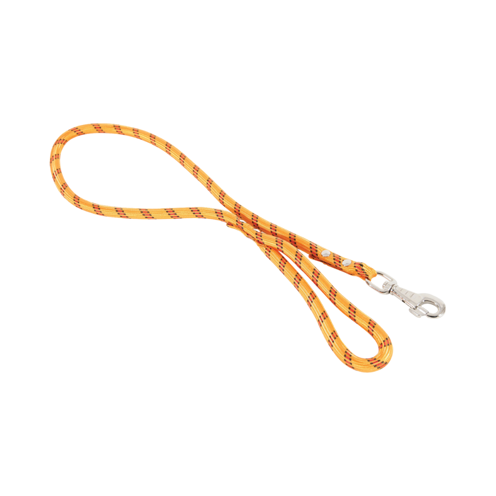 P15901420.png