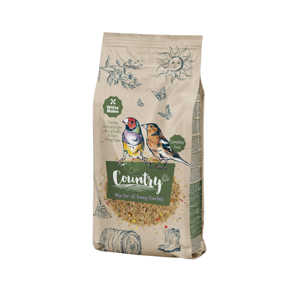 P16400008.png