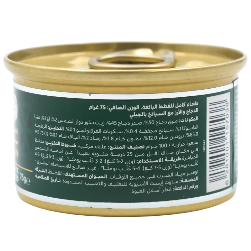 P16800046.png