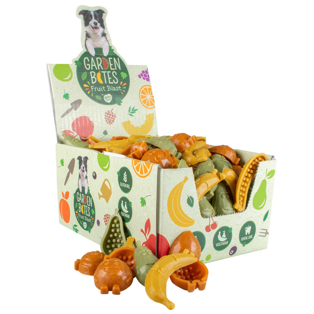 P17400019.png