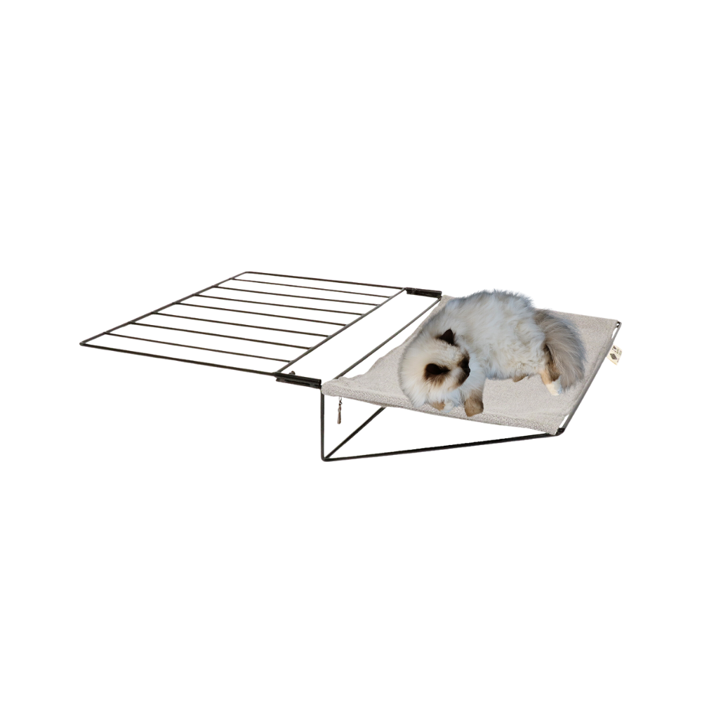 P17500039.png