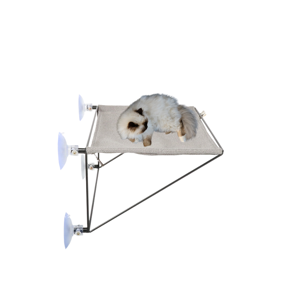 P17500040.png