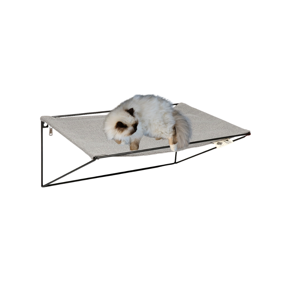 P17500041.png