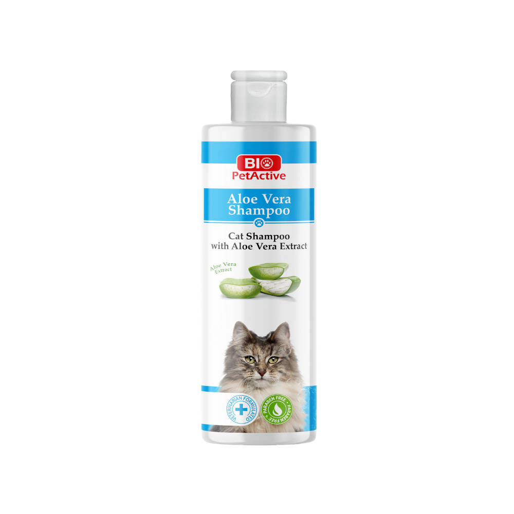P17800051.png