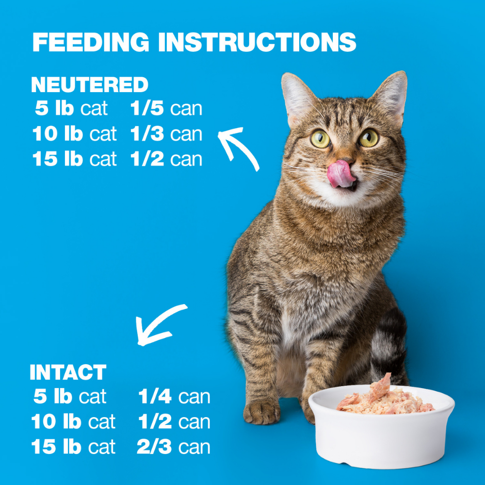 P18400009.png